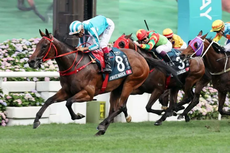 BARRIER FINE FOR HONG KONG WARRIOR Image