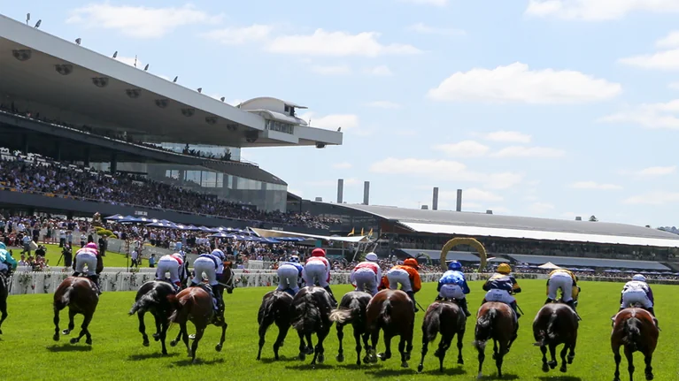 The Plunge’s Saturday Review: Horses You Must Follow From Rosehill 30/1 Image