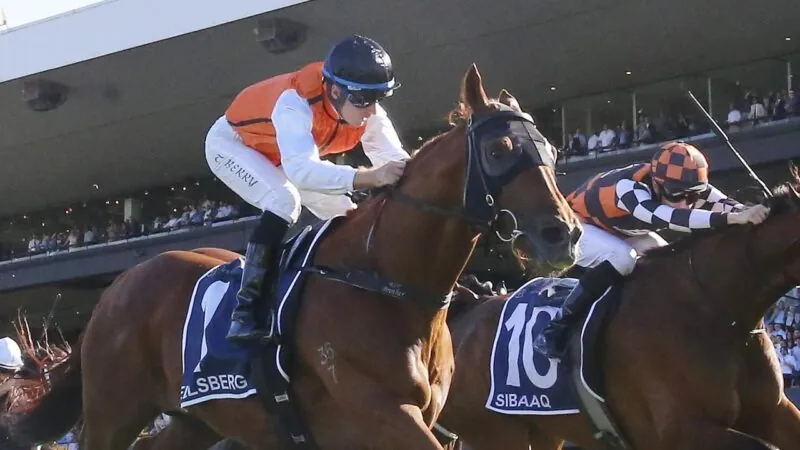 Our $900 Rosehill Competition Is Open! Image