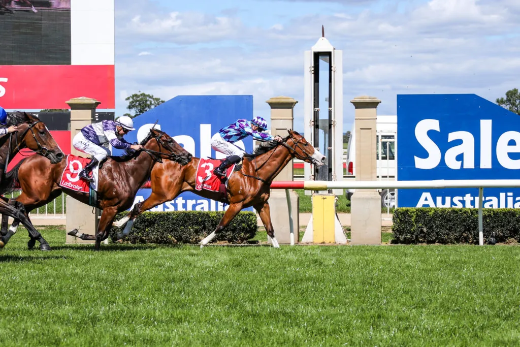 FREE: Sale Tip Sheet & Staking Plan: Wednesday 8th June Image