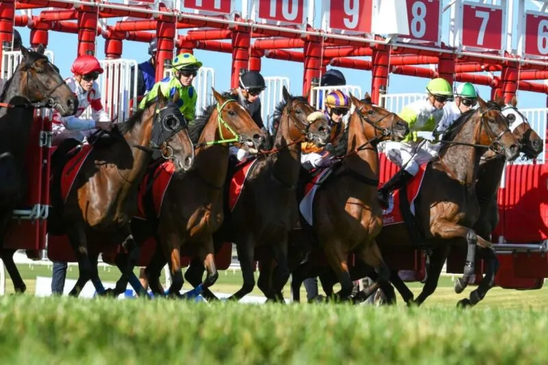 FREE: Sandown Hillside Tip Sheet & Staking Plan: Wednesday 28th August Image