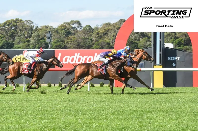 Sandown – Our Best Bet 29/3 Image