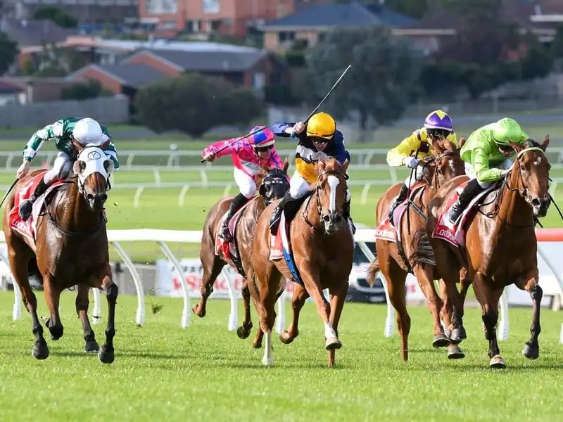 Sandown Hillside Tip Sheet & Staking Plan: Wednesday 14th July Image