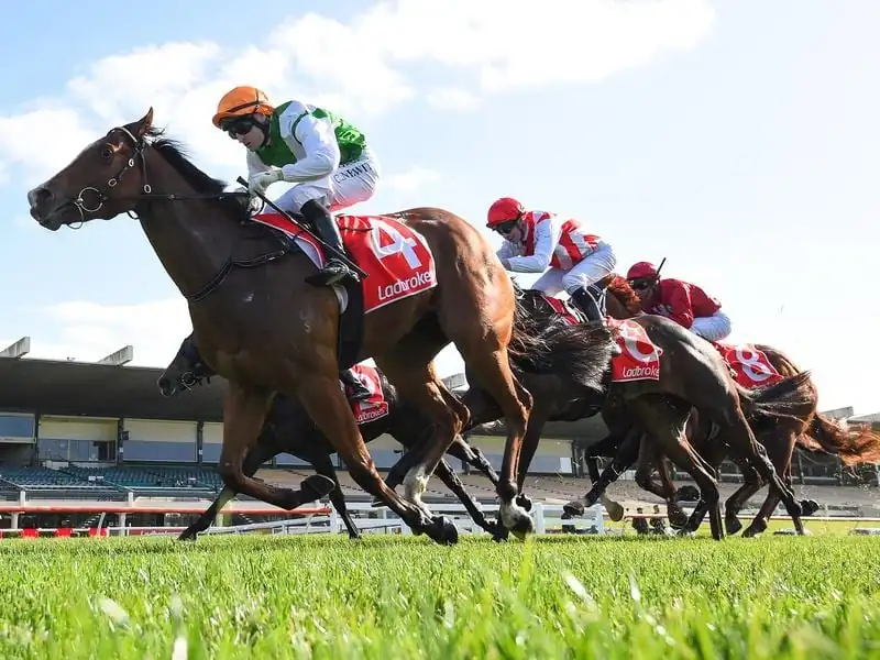 Sandown Lakeside Tip Sheet & Staking Plan: Wednesday 17th March Image