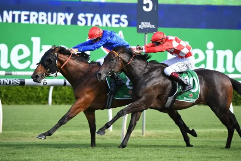 Canterbury Stakes Review: What The Jockeys Said Image