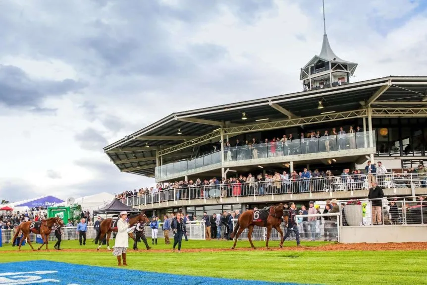 FREE: Scone Tip Sheet & Staking Plan: Saturday 13th May Image