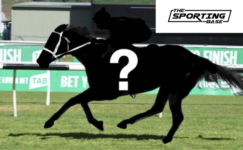 Our Black Book: Horses You Must Follow From Rosehill 12/8 Image