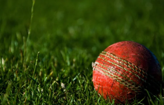 Border Gavaskar Trophy 2024-25: India Stuns Australia with Record-Breaking Win Image