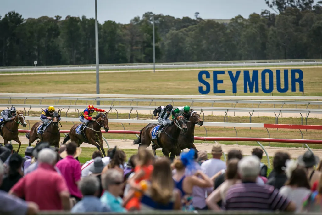 RACING: Seymour Tips – Friday 7/8 Image