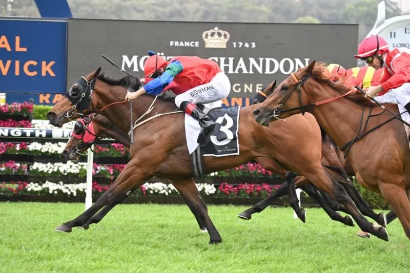 Randwick Review: Sharp, Smart And A Derby Stayer Image