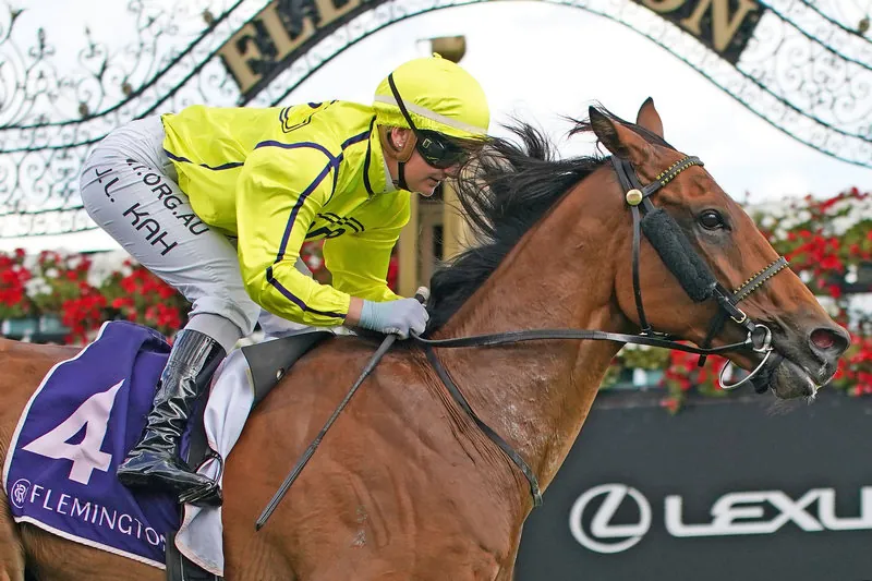FREE: Flemington Tip Sheet & Staking Plan: Saturday 5th November Image