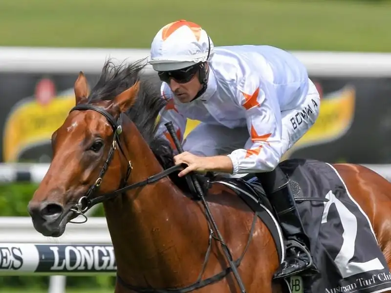 Rosehill Tip Sheet & Staking Plan: Saturday 12th September Image