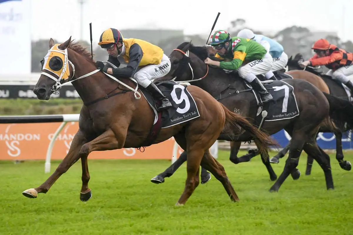 Randwick Tip Sheet & Staking Plan: Saturday 3rd October Image