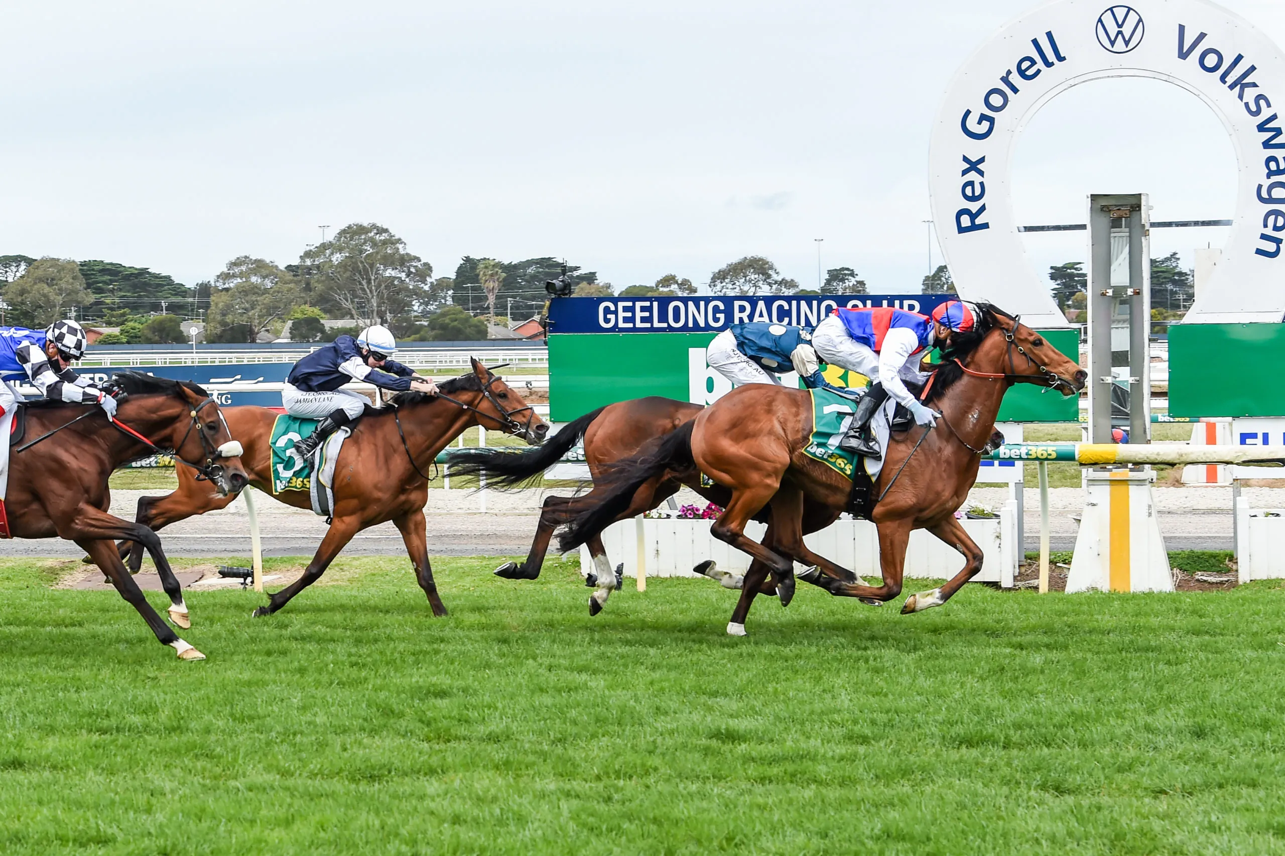 FREE: Geelong Tip Sheet & Staking Plan: Wednesday 13th April Image