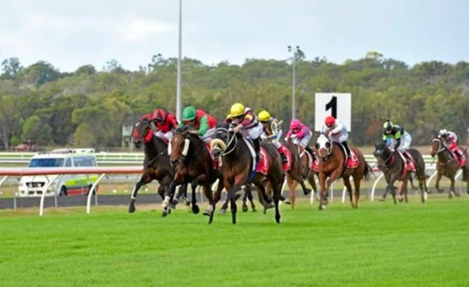 The Edge QLD: Saturday Image