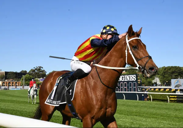 2021 The Everest Review: What The Jockeys Said Image