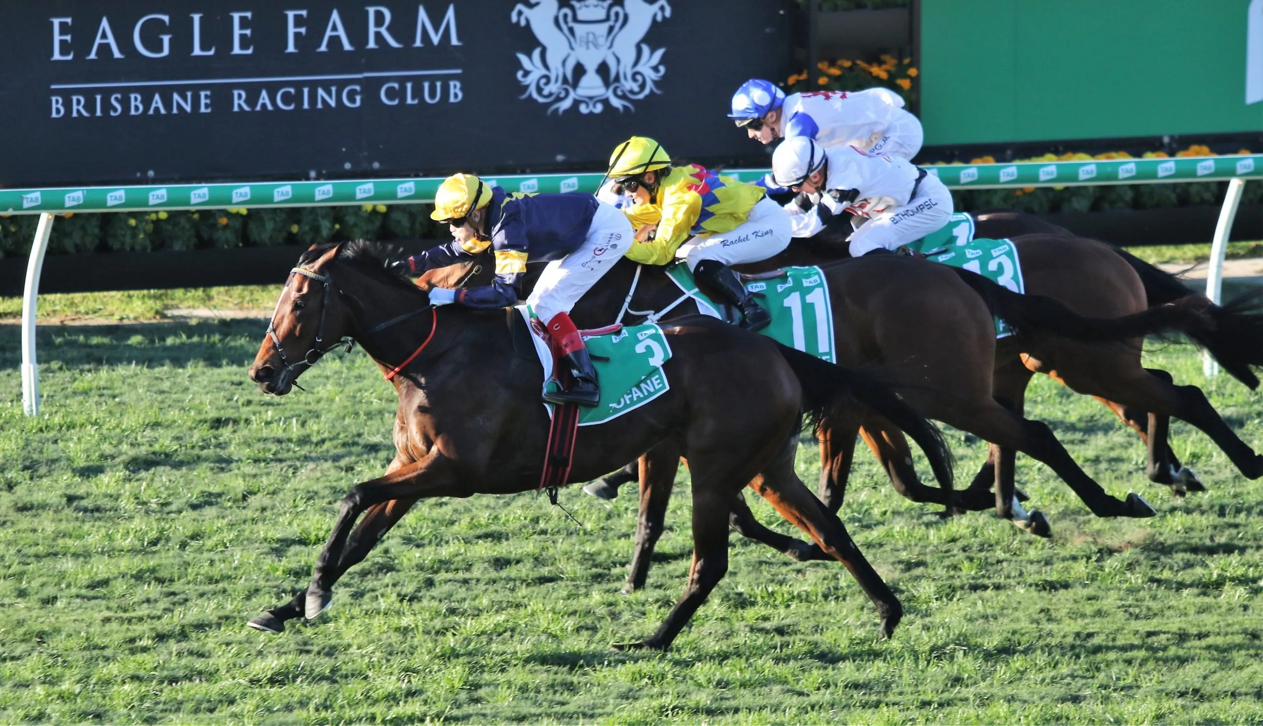 The Racing Weekend In Review 12/6 Image