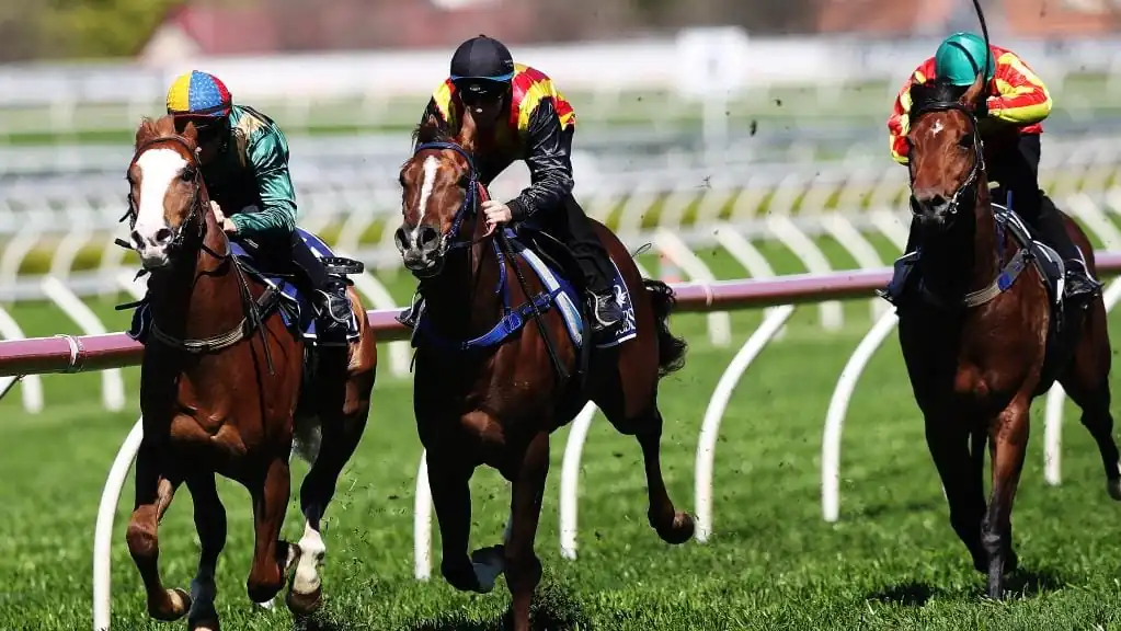 Trial Review: Horses You Must Follow From The Trials Over The Past Week 27/8 Image