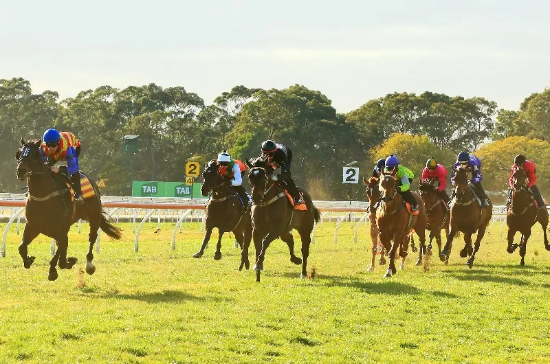 The Plunge’s Trial Review: Horses You Must Follow From Last Week’s Trials 15/8 Image