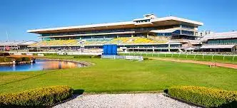 FREE: Rosehill Tip Sheet & Staking Plan: Saturday 2nd December Image