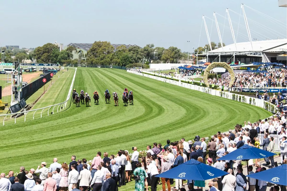 FREE: Rosehill Selections: Saturday 14th September Image
