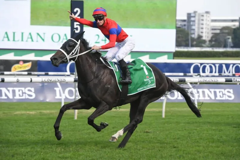 Randwick Tip Sheet & Staking Plan: Saturday 17th July Image