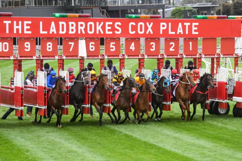 FREE: The Valley Tip Sheet & Staking Plan: Saturday 12th August Image