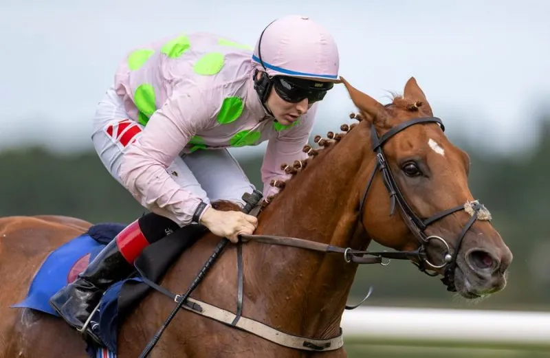 Cup Day: Irish Stayers On Song For Cup Image