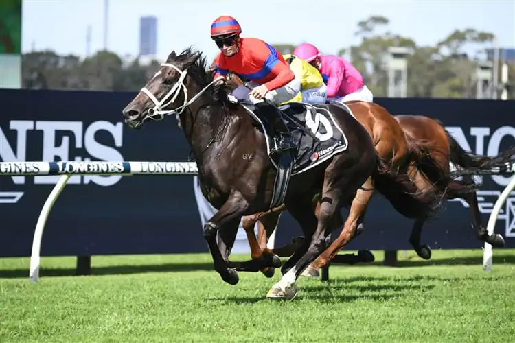 2021 Ranvet Stakes Review: What The Jockeys Said Image