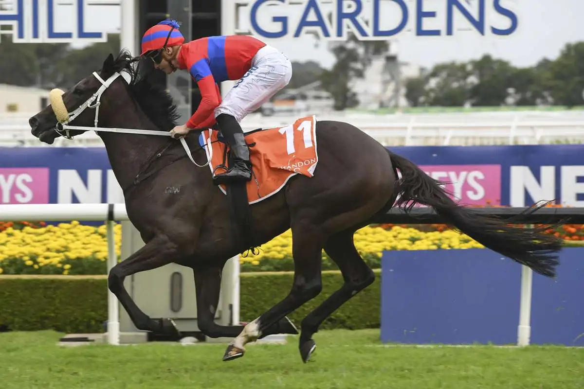 Rosehill Tip Sheet & Staking Plan: Saturday 20th March Image