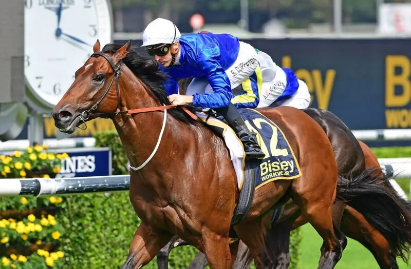 Randwick Preview: Godolphin Pair Ready To Swoop In The Silver Eagle Image