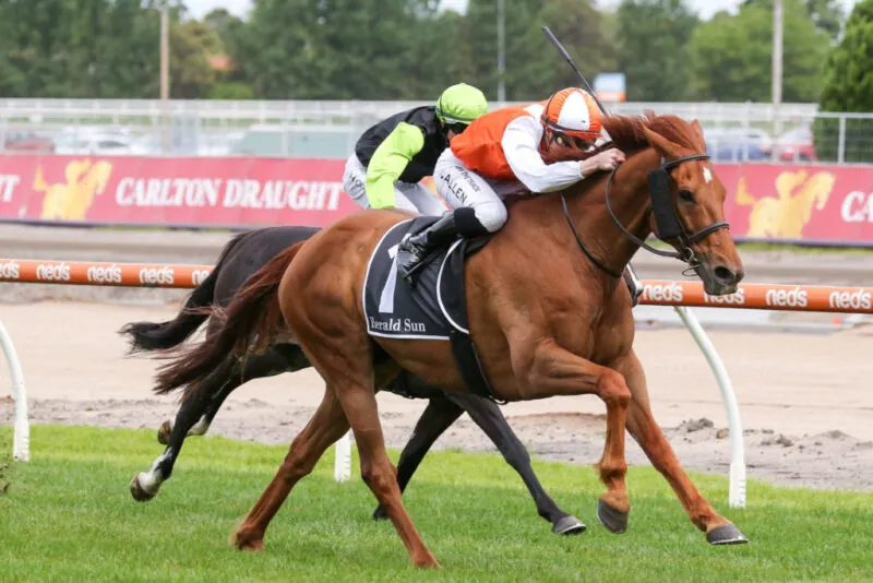 OPINION: Spring Carnival Needs A Revamp Image