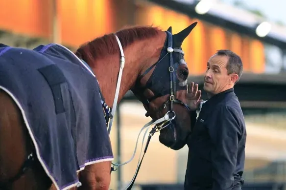 WALLER WANTS THE INGHAM Image