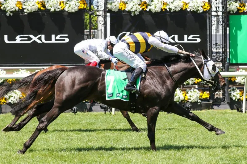 PRICE DECLARES WAR ON SA DERBY Image