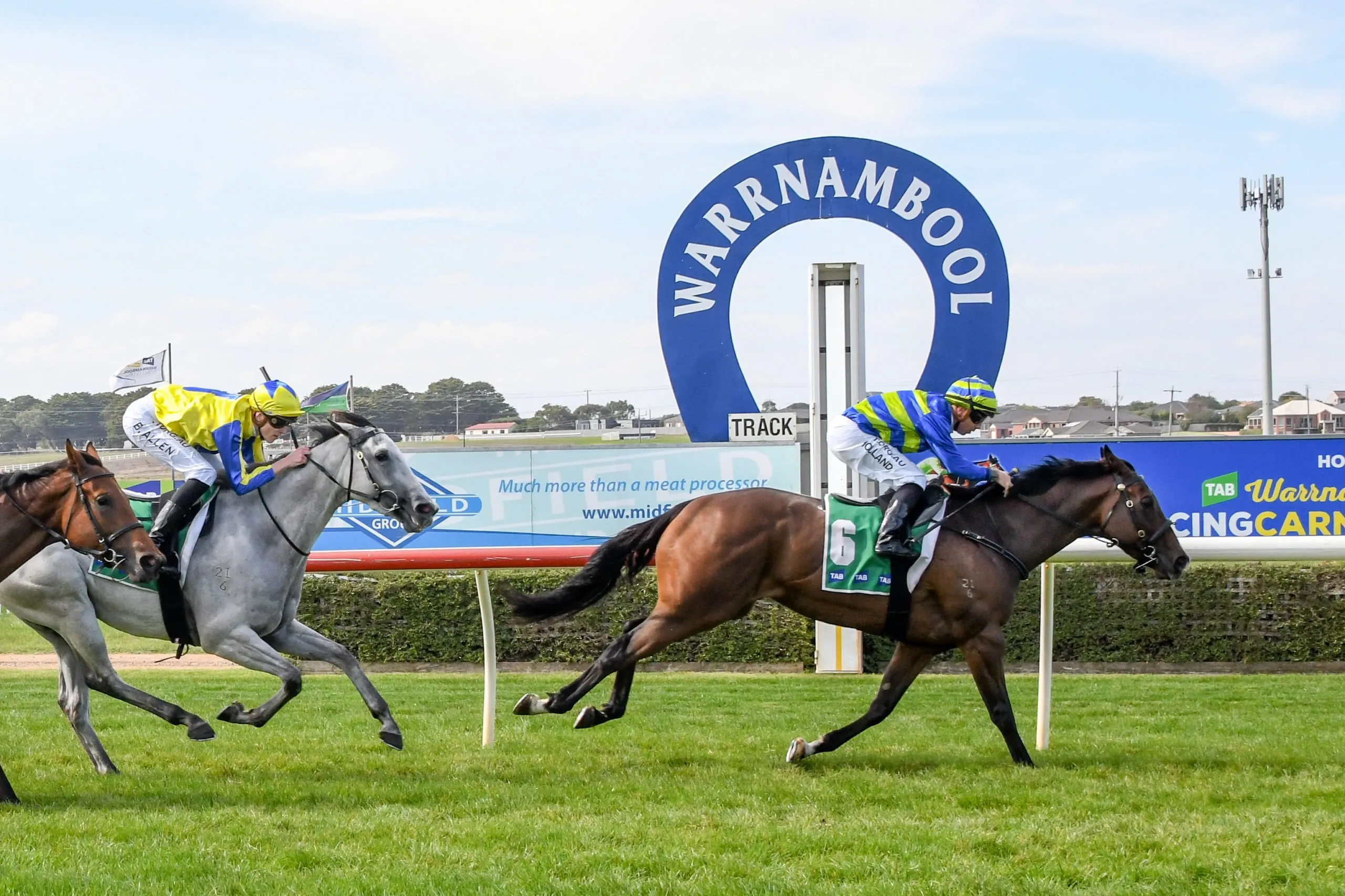 FREE: Sandown Hillside Tip Sheet & Staking Plan: Saturday 4th February Image