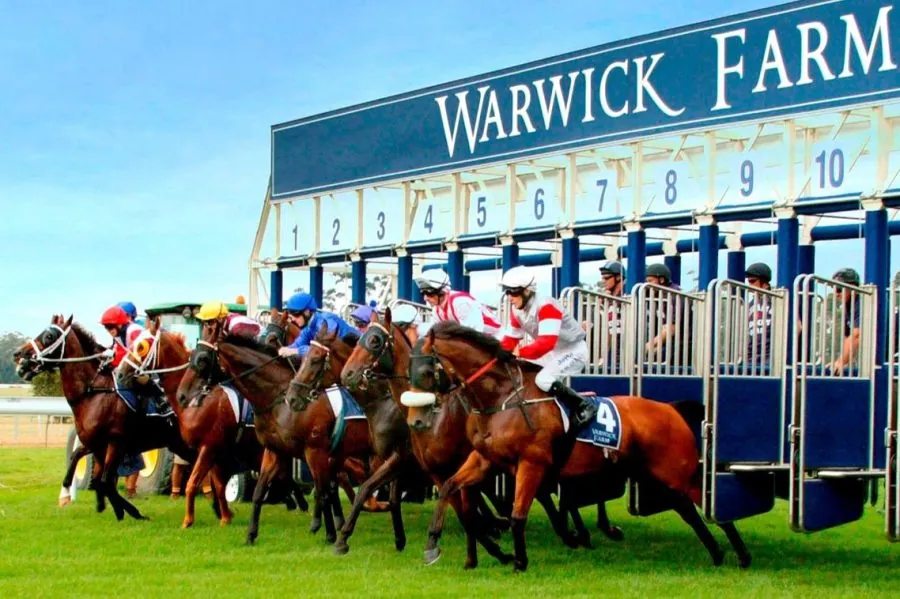 Warwick Farm Tip Sheet & Staking Plan – Wednesday 7th October Image