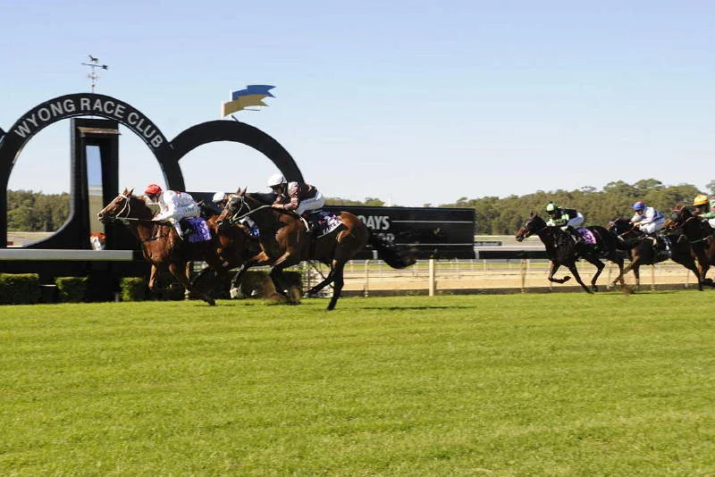 Our Black Book: Horses You Must Follow From Wyong 11/1 Image