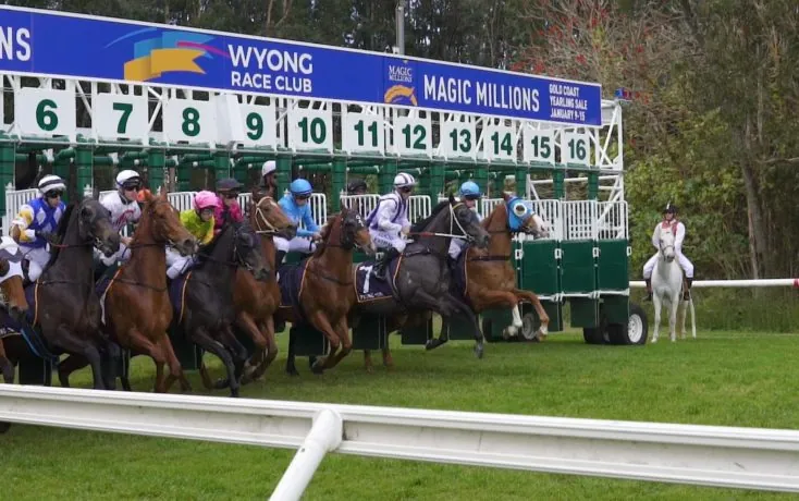 FREE: Wyong Tip Sheet & Staking Plan: Saturday 11th January Image