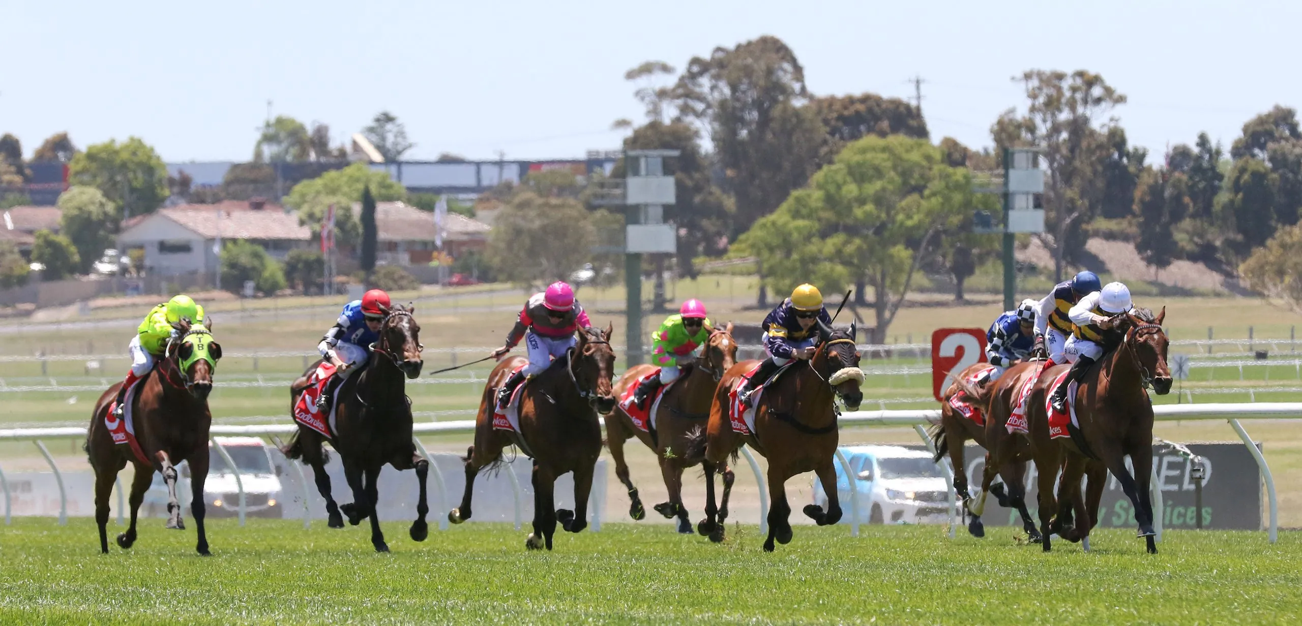 FREE: Sandown Hillside Tip Sheet & Staking Plan: Wednesday 20th September Image