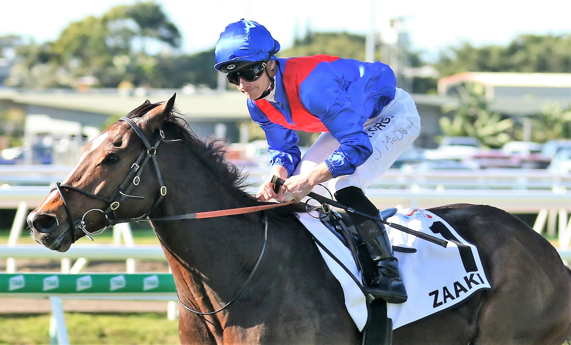 Sandown Hillside Tip Sheet & Staking Plan : Saturday 25th September Image