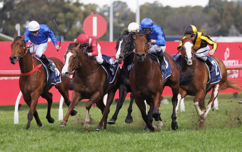 New Sydney Racing Tipping Competition Now Online Image