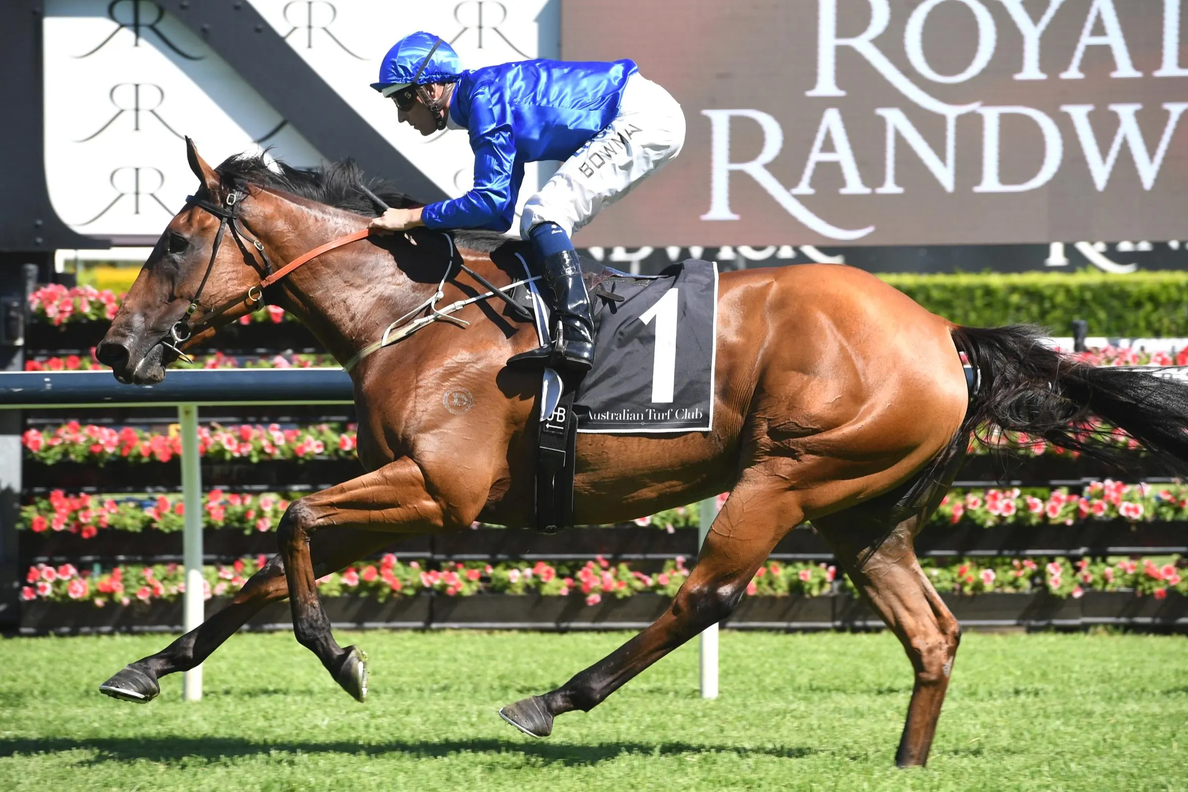 Randwick Kensington Tip Sheet & Staking Plan – Wednesday 30th September Image