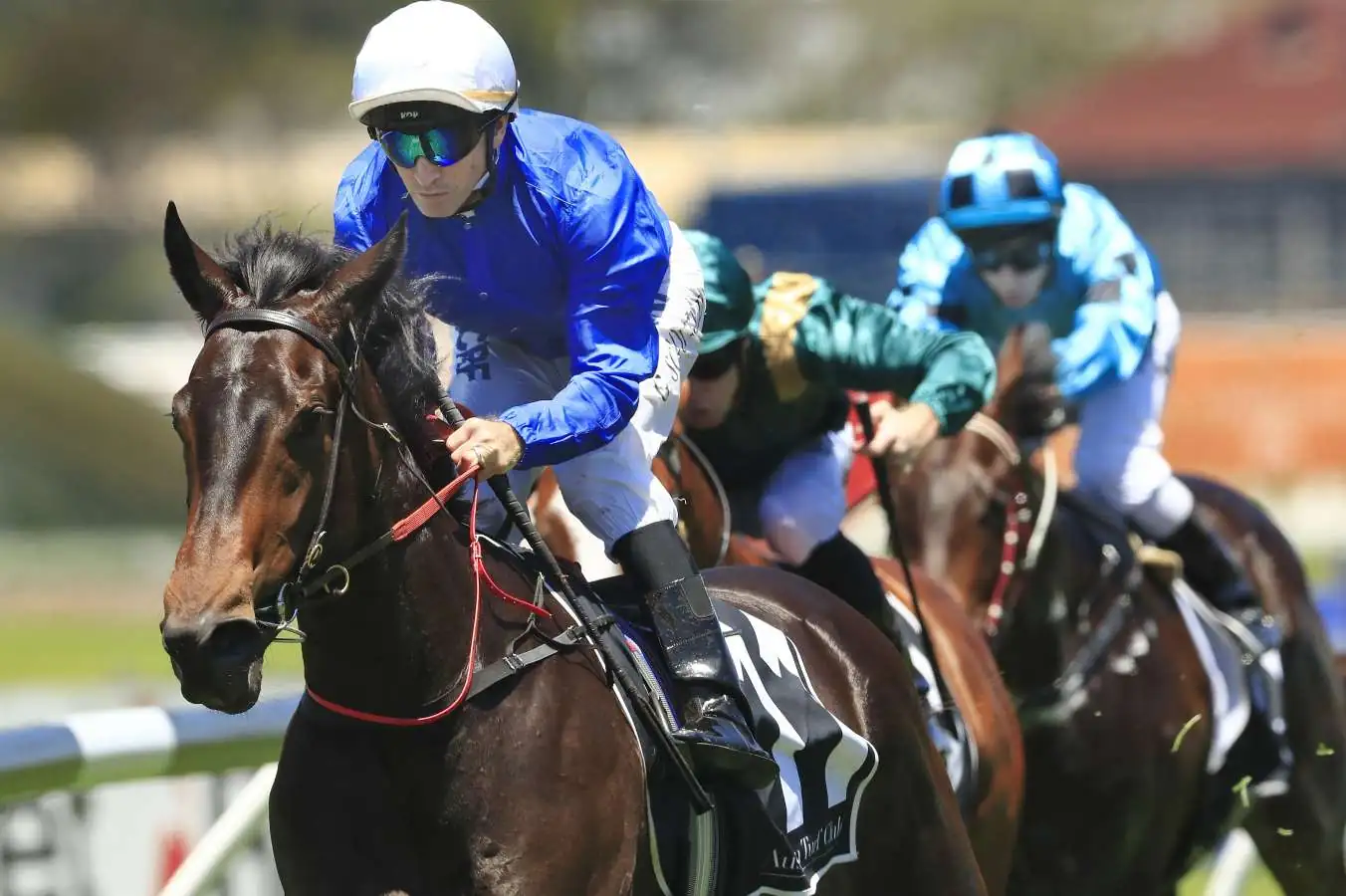 Our BlackBook & Trial Runners: Horses Running Today & Staking Plan 12/9 Image