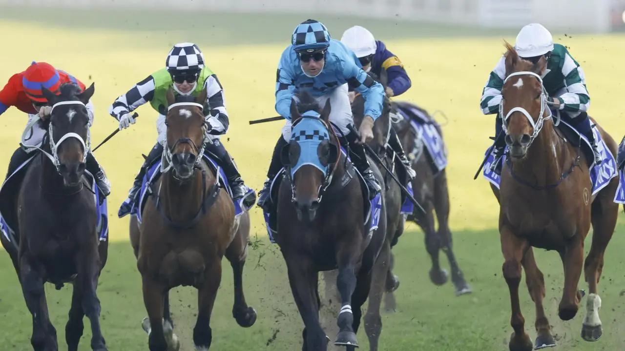 The Racing Weekend In Review 21/8 Image