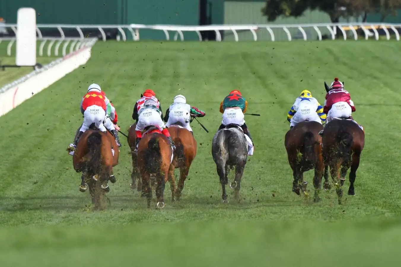 FREE: Sandown Hillside Tip Sheet & Staking Plan: Wednesday 15th June Image
