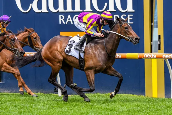 Caufield Tip Sheet & Staking Plan: Saturday 17th April Image