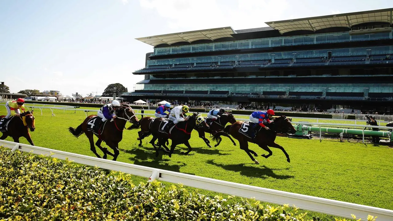 Randwick Kensington Tip Sheet & Staking Plan: Wednesday 4th August Image