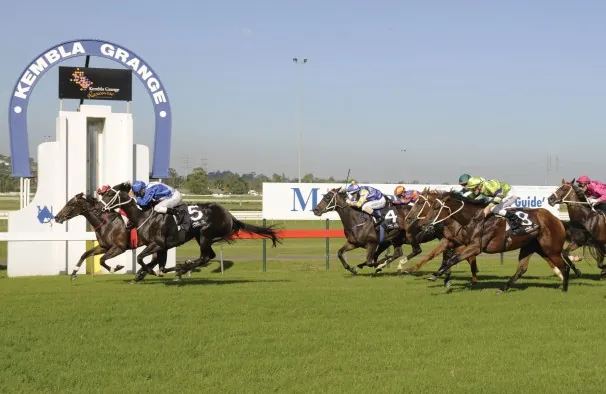 FREE: Kembla Grange Tip Sheet & Staking Plan: Saturday 25th November Image