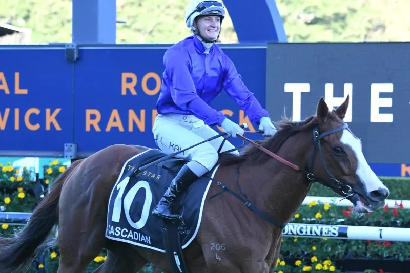 The Racing Weekend In Review 10/4 Image