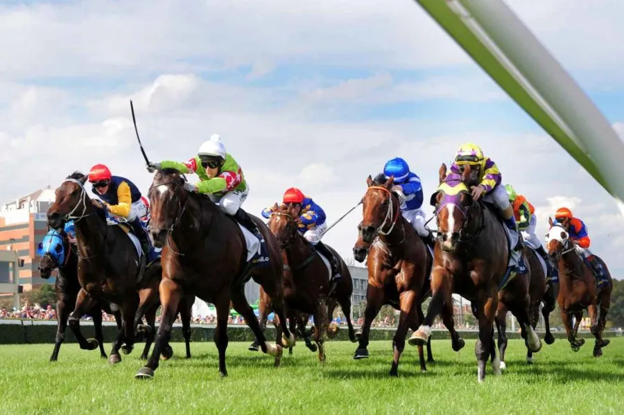 Our Black Book: Horses You Must Follow From Caulfield 24/2 Image